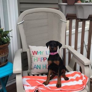 Meet your Posher, Maria lisa